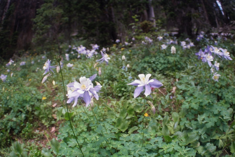 Baker Gulch 8.jpg